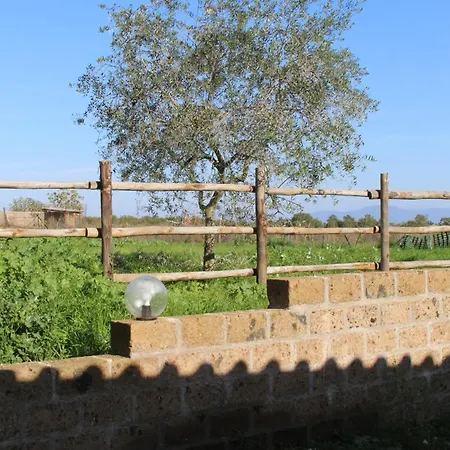 Azienda Agricola Il Borgo Di Sant'elia