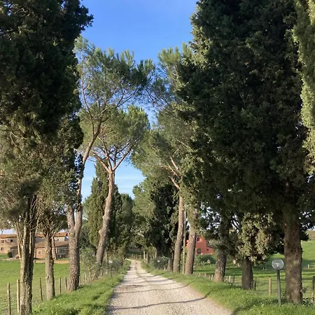 Azienda Agricola Il Borgo Di Sant'elia Farm stay Castel Sant'Elia